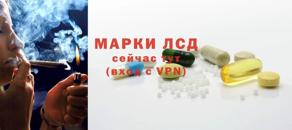 прущие грибы Переславль-Залесский
