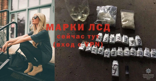 СК Аркадак