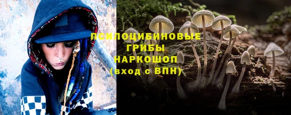 гидропоника Арсеньев