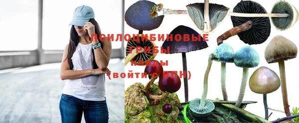 первитин Армянск