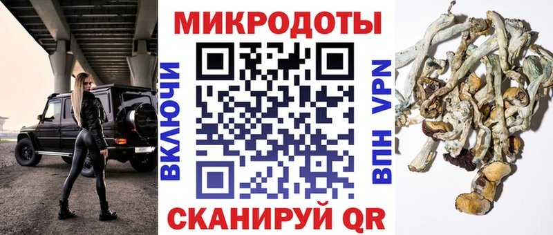 где найти   Макарьев  Галлюциногенные грибы ЛСД 